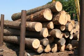 Καύσιμη ξυλεία δρυς