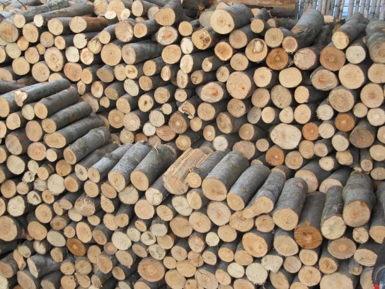 Καύσιμη ξυλεία ελιά